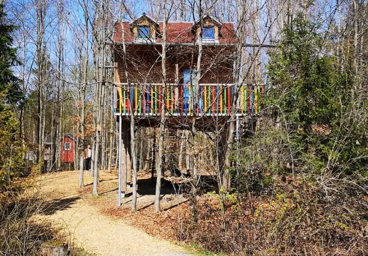 Erlebnispark Voglsam, Baumhaus, Kartbahn, Ballonfahren uvm