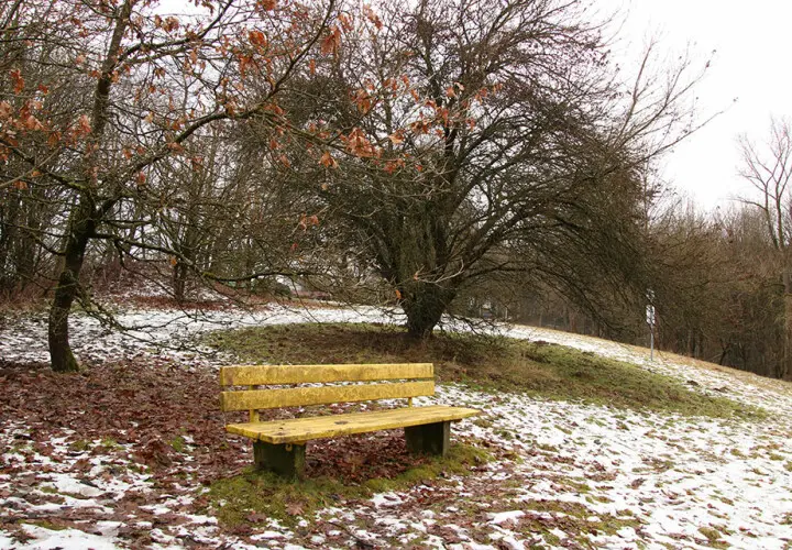 Stadtpark Kainzenhof (Kainzenpark)