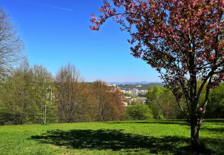 Stadtpark Kainzenhof (Kainzenpark)