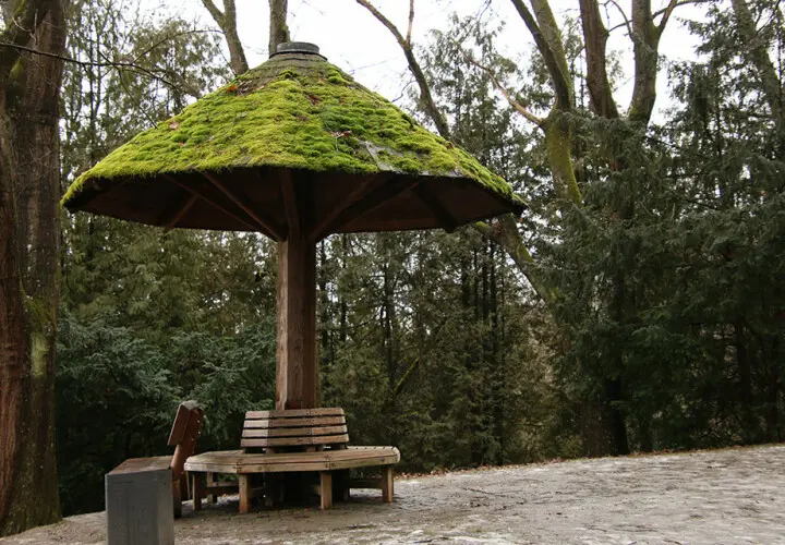 Stadtpark Kainzenhof (Kainzenpark)