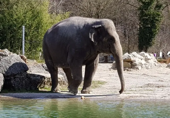 Münchener Tierpark Hellabrunn
