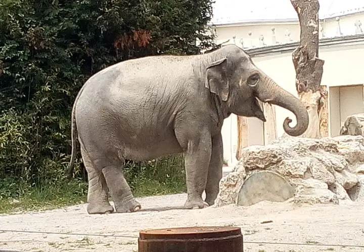 Münchener Tierpark Hellabrunn