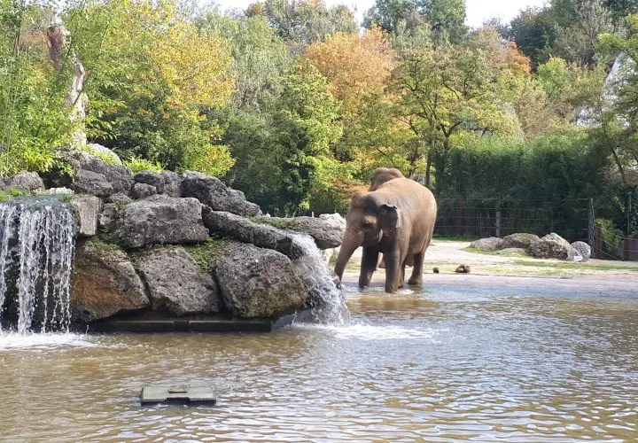 Münchener Tierpark Hellabrunn