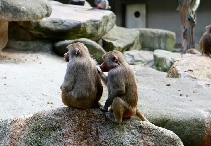 Münchener Tierpark Hellabrunn