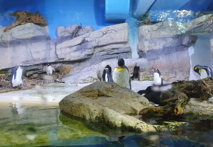 Münchener Tierpark Hellabrunn
