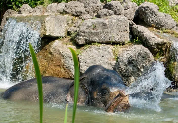 Münchener Tierpark Hellabrunn