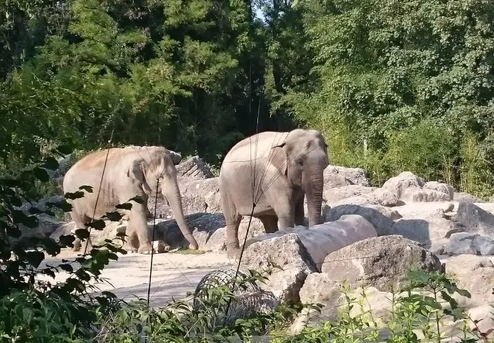 Münchener Tierpark Hellabrunn