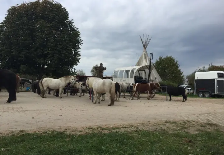 Reitschule MATTHOF