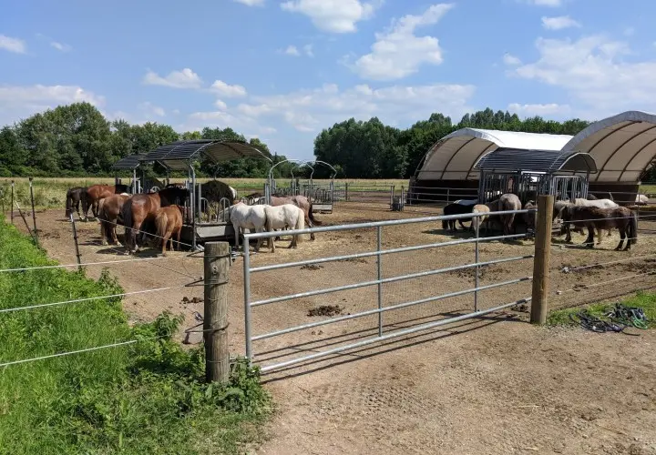 Reitschule MATTHOF