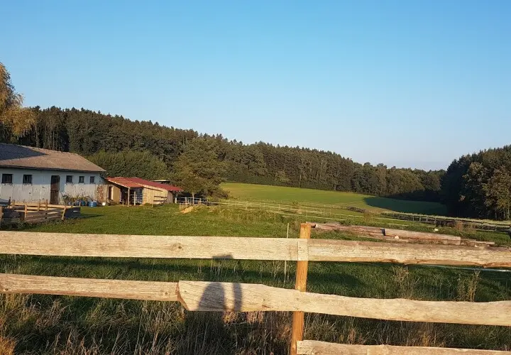 NaturFreude