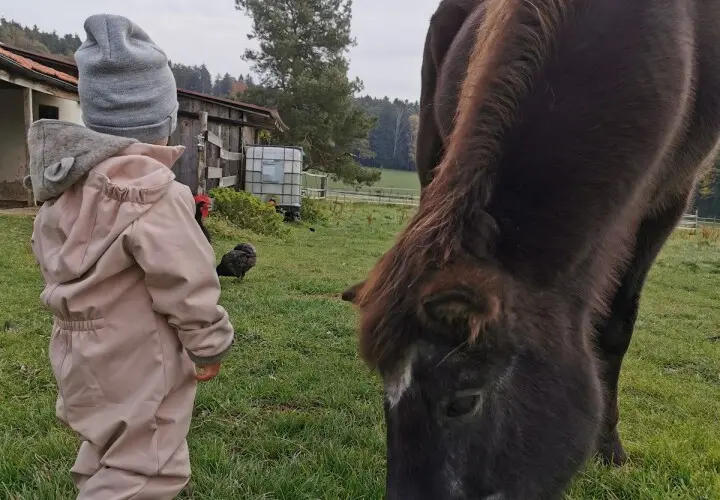 NaturFreude