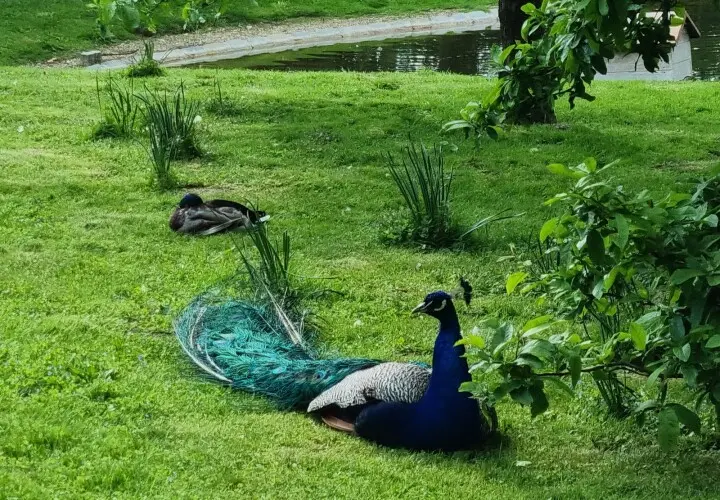 Herzoggarten
