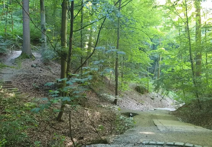 Herzoggarten