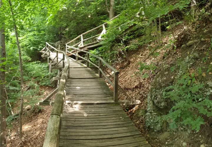 Herzoggarten