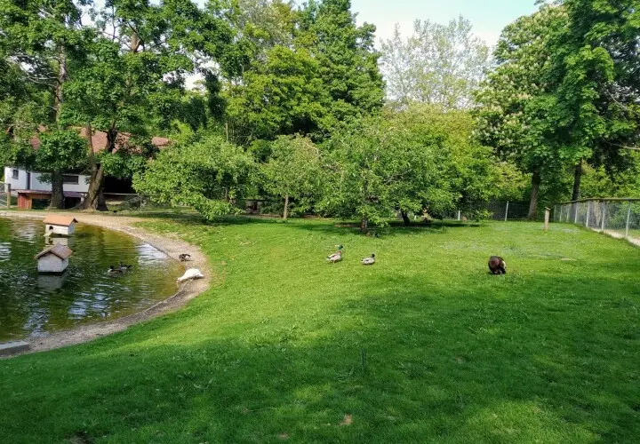 Herzoggarten