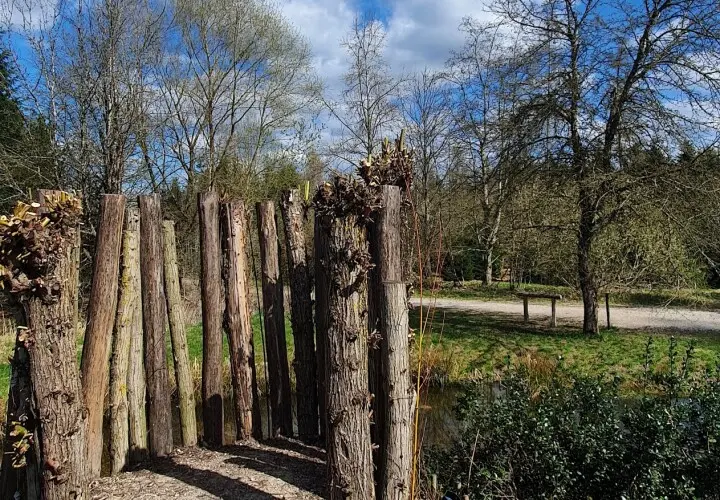 Europa-Garten
