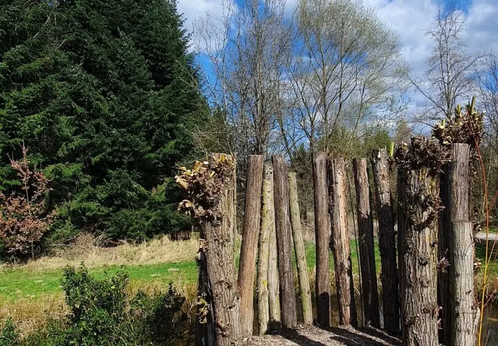 Europa-Garten