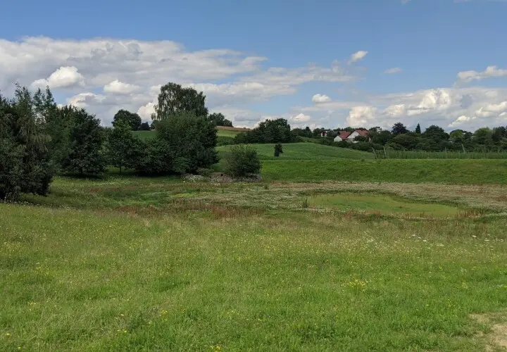 Barfußpfad Rohrbach a.d. Ilm