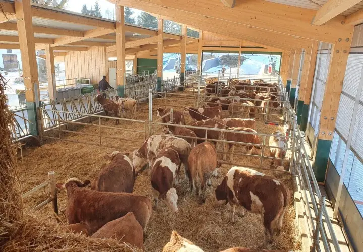 WIESER Erlebnisbauernhof und Bauernhofgastronomie