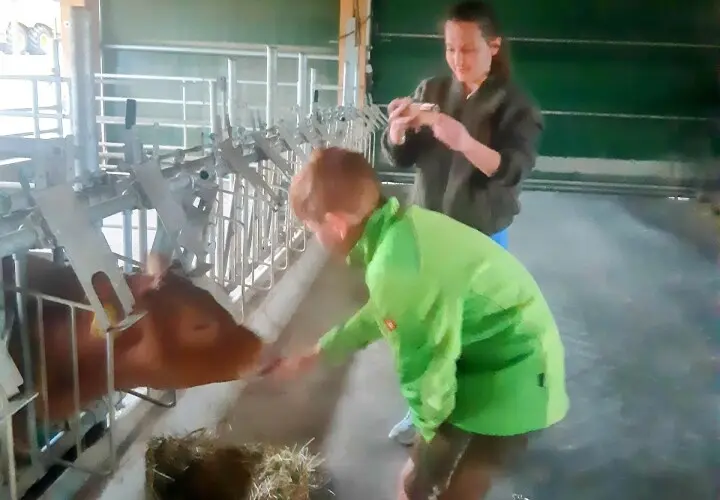 WIESER Erlebnisbauernhof und Bauernhofgastronomie