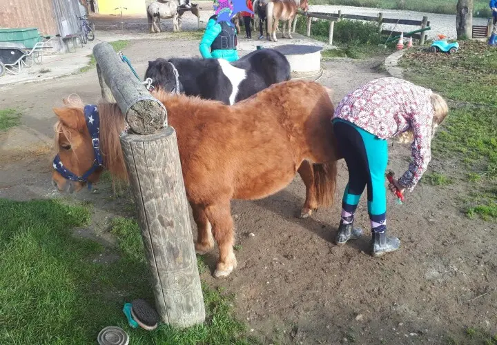 Tinker Ponyhof
