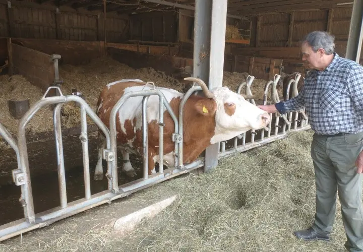 Viehhausener Biohofladen
