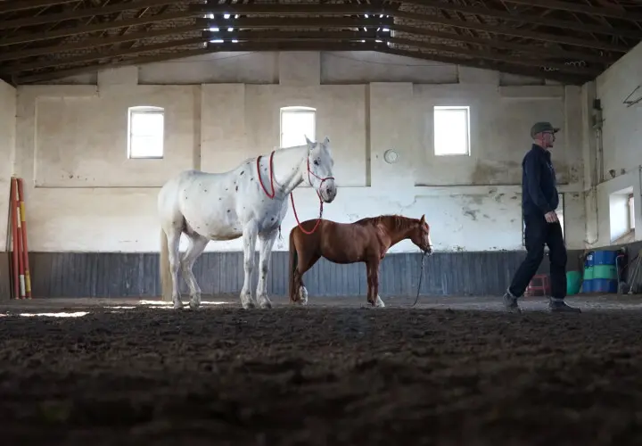 Reiten und Relaxen.de