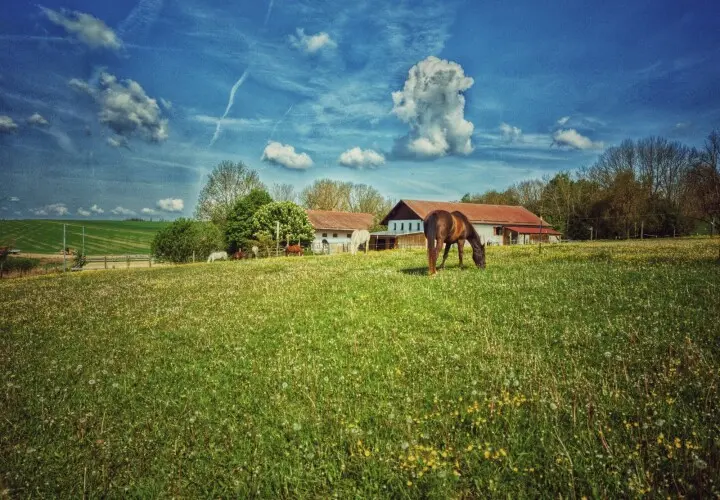 Reiten und Relaxen.de