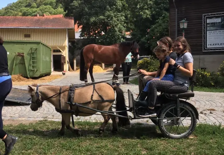 Die Reitschule Gestüt