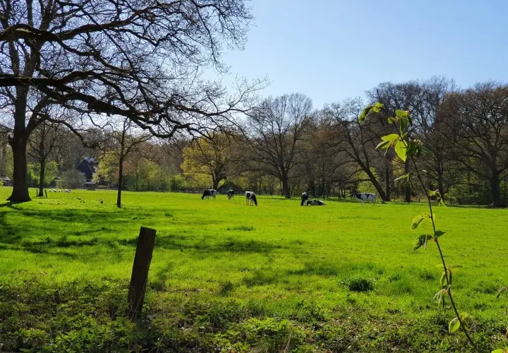 Bürgerpark