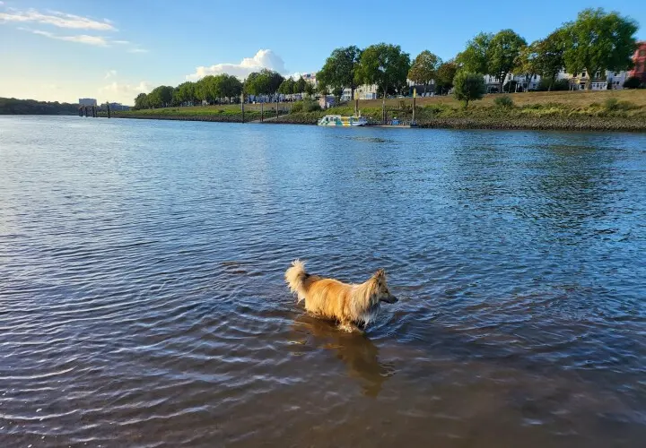 Weserstrand