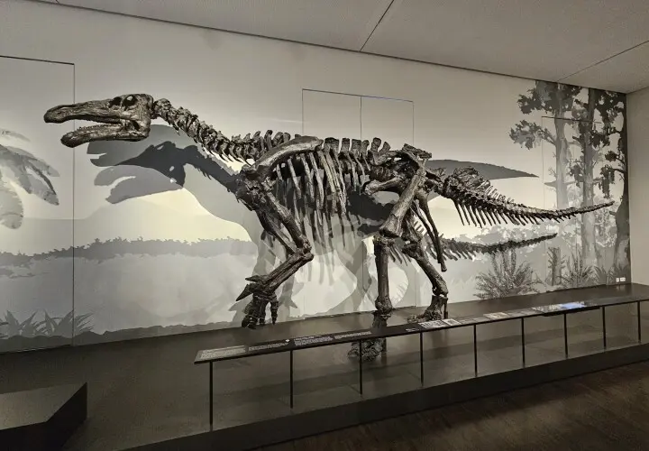 Übersee-Museum Bremen