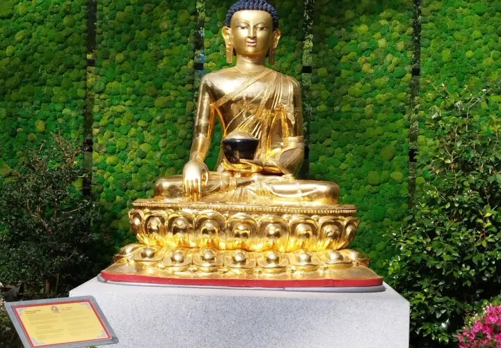 botanika