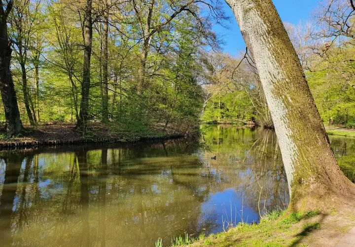 Bürgerpark