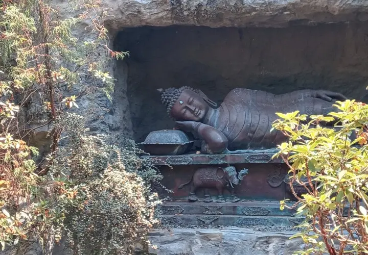 botanika