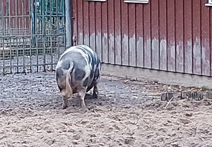 Bürgerpark