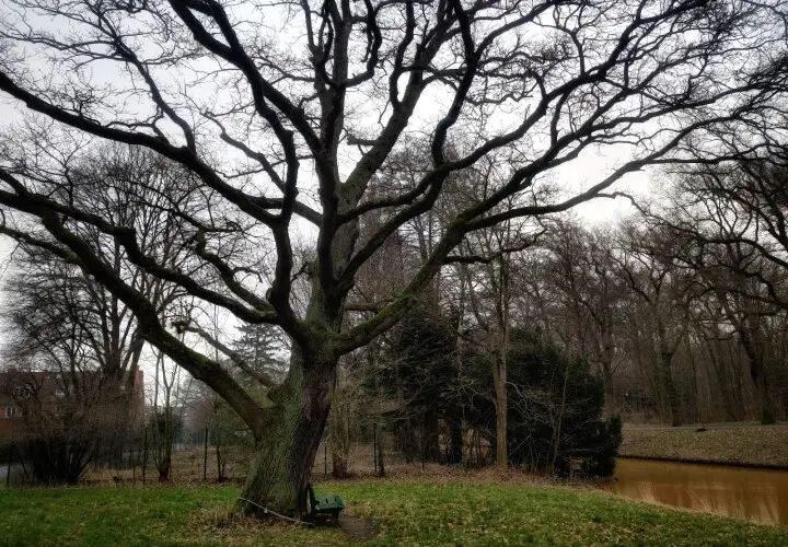 Bürgerpark